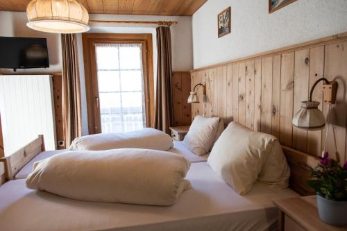 Hotel Alpina