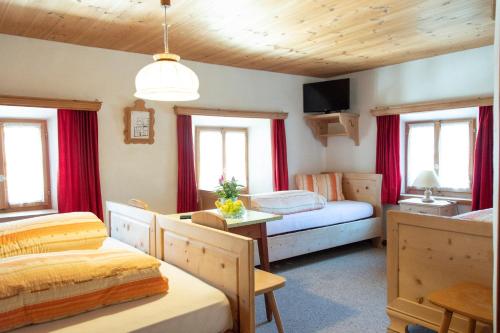 Hotel Alpina