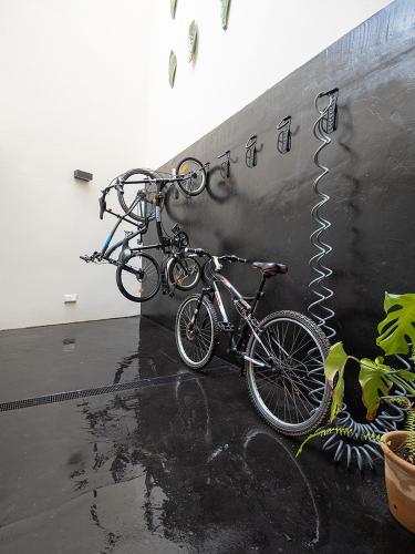 Unic Turisme D'interior