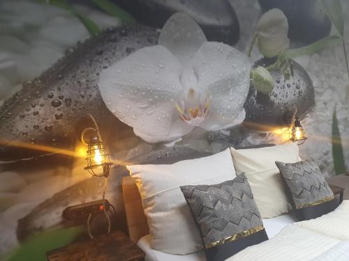 LANE Tiny Homes, nahe Hannover Messe