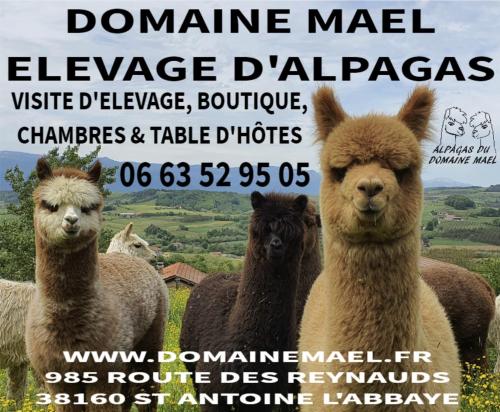 Alpagas Du Domaine Mael