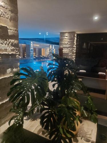 Apart Hotel Greenwood Near Sea