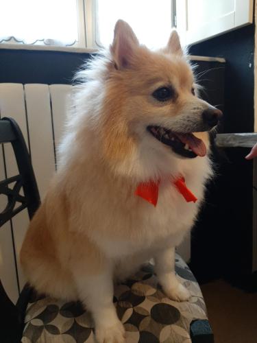 Principe Calaf 3 e 4