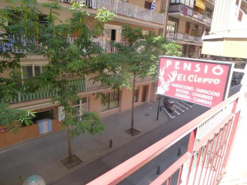 Pensión el Ciervo
