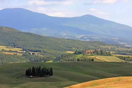 Cordella in Montalcino Wine Resort