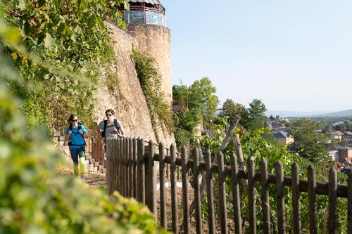 Kauzenburg Superior
