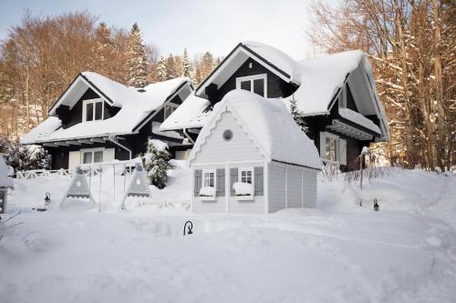 Apartamenty & Domki Górska Legenda