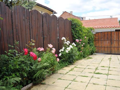 Guesthouse Elizabeth