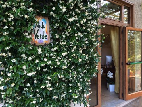 Hotel Nido Verde