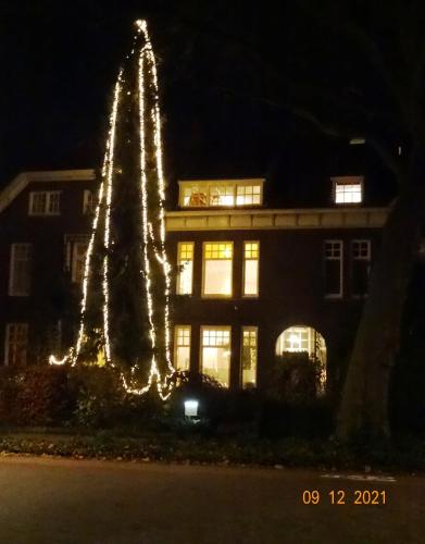 Boutiquehotel Sycamore