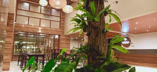 The Piccolo Hotel of Boracay