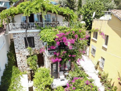 The Lemon Villa Hotel