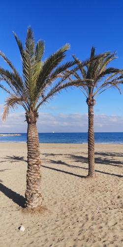 Apartamentos Hawaii - Parking y 50 mt del Arenal