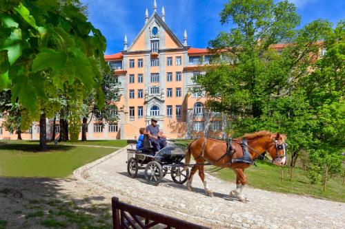 Pousada Serra da Estrela - Historic Hotel
