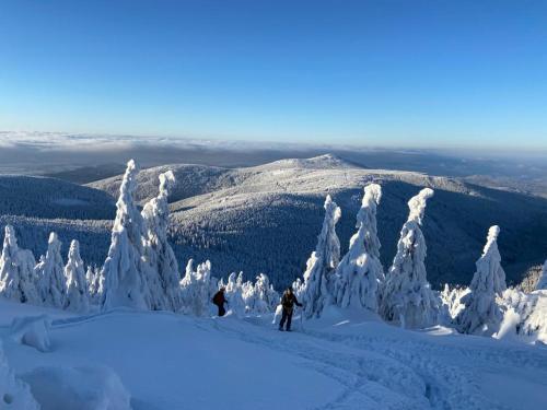 Apartamenty Czarna Gora by SW