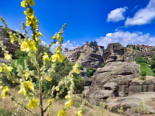 Boutique Holy Spirit