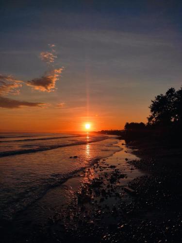 Olana Bed And Breakfast