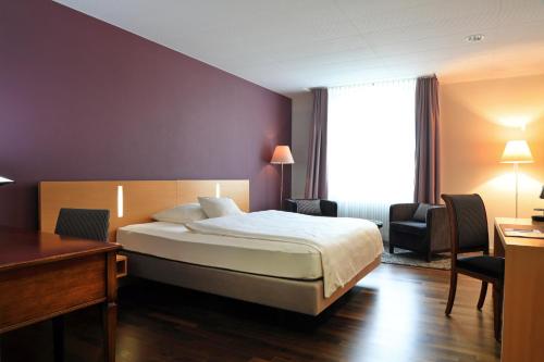 Hotel Banana City