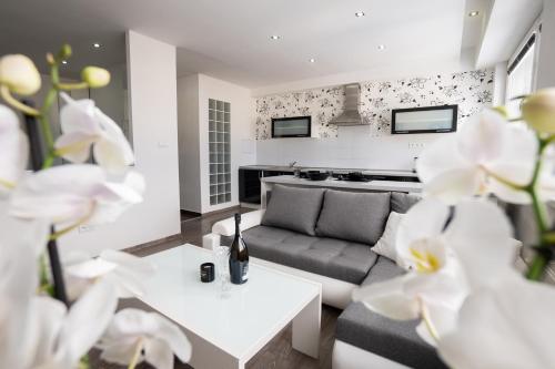 Great Apartment Blck&Wht near center & own parking