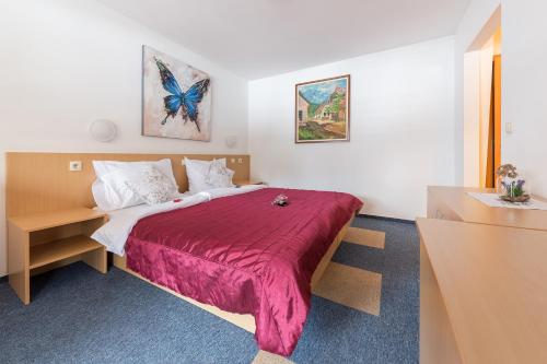 Center - Bohinjsko Jezero