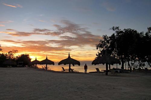 Bluewater Panglao Beach Resort
