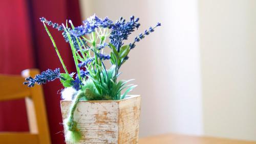 Gastehaus Am Wasserpark