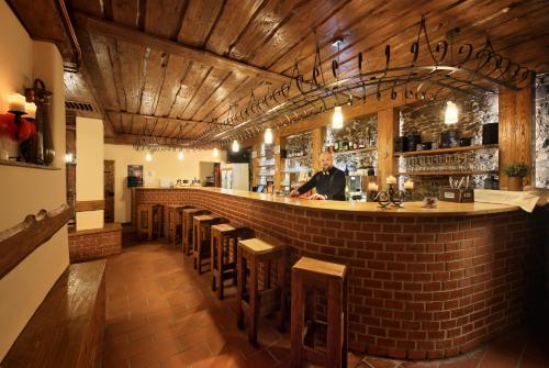 Zavis z Falkenstejna