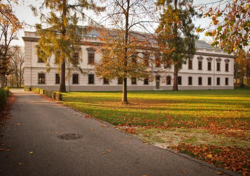 Hotel Gino Park Palace