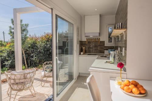 Gato Preto De Silves