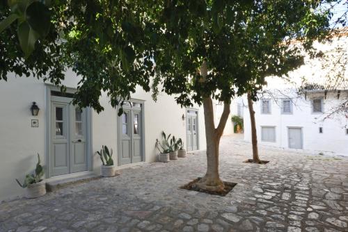 Cactus Art Apartments