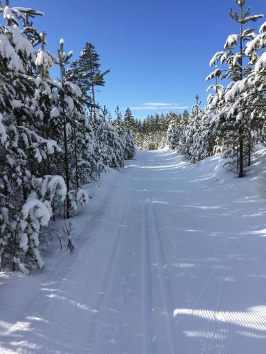 Alvdalen Stf Tre Bjornar