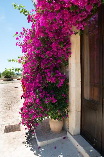 Agriturismo Masseria sul Mare
