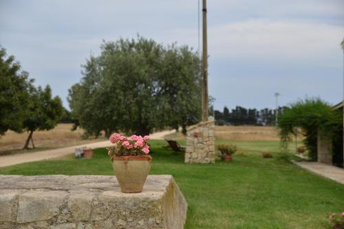 Agriturismo Masseria sul Mare