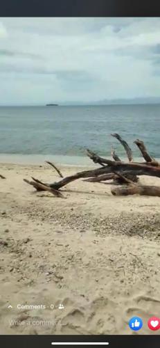 Pescador View Beach Resort Restaurant