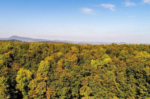 Behagliches Cottage mit Kamin mitten im Wald
