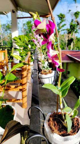 Matilde B&B - La Paz, Carmen