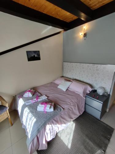 Las Cigüeñas de San Cristóbal