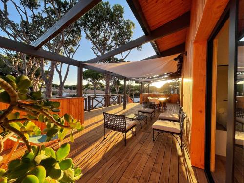 Nuevos Apartamentos Biopasivos Living Pura Madera