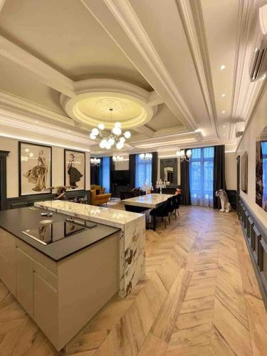 O'LUXURY 49 PREMIUM LOCATION ANGERS