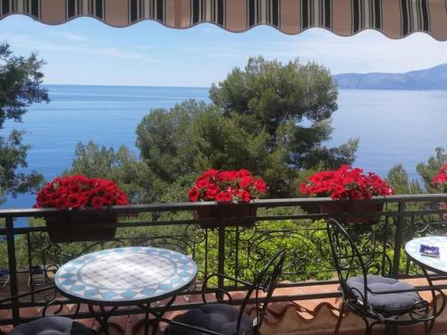 Bed & Breakfast Zia Yaya
