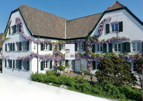 Rhein River Guesthouse
