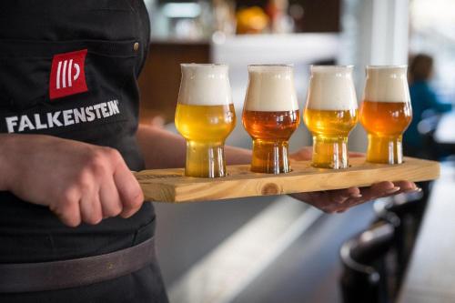 Pivovar Falkenštejn