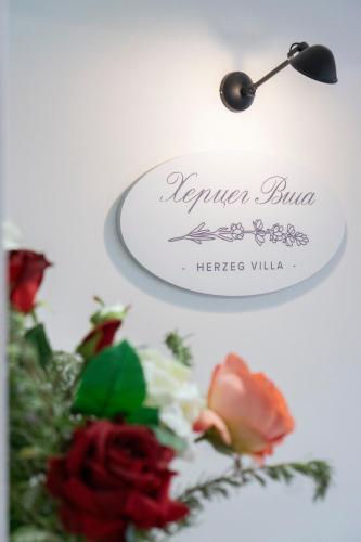 Herceg Vila