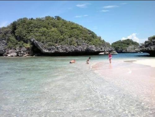 Carribean Transient House