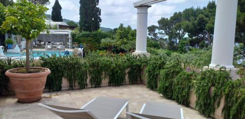 Orsa Maggiore