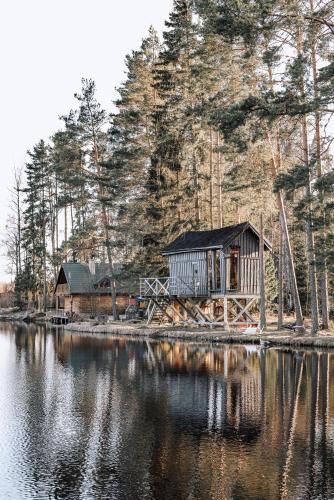 Dragon house in the tree! Jacuzzi, Sauna , Cinema, Heated
