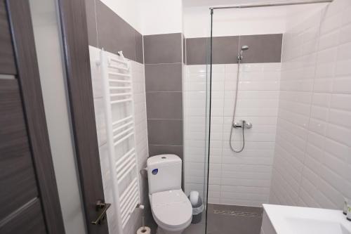 CENTRAL VIEW Craiova