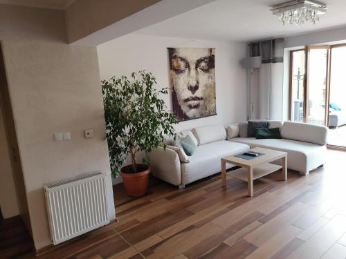 Apartamenty Pod Dzikowcem