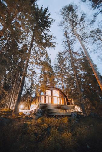 Haltia Lake Lodge