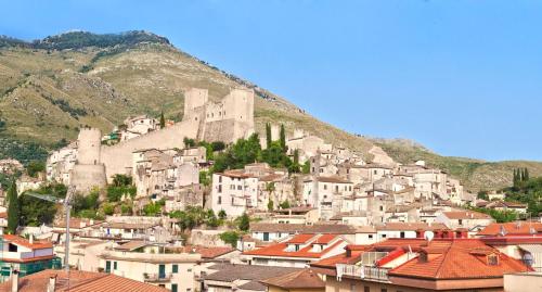 Il Fiore In Una Stanza